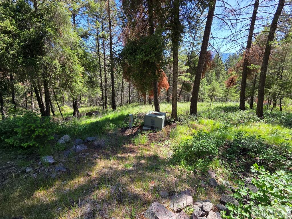 21 Pinetree Drive Property Photo 44