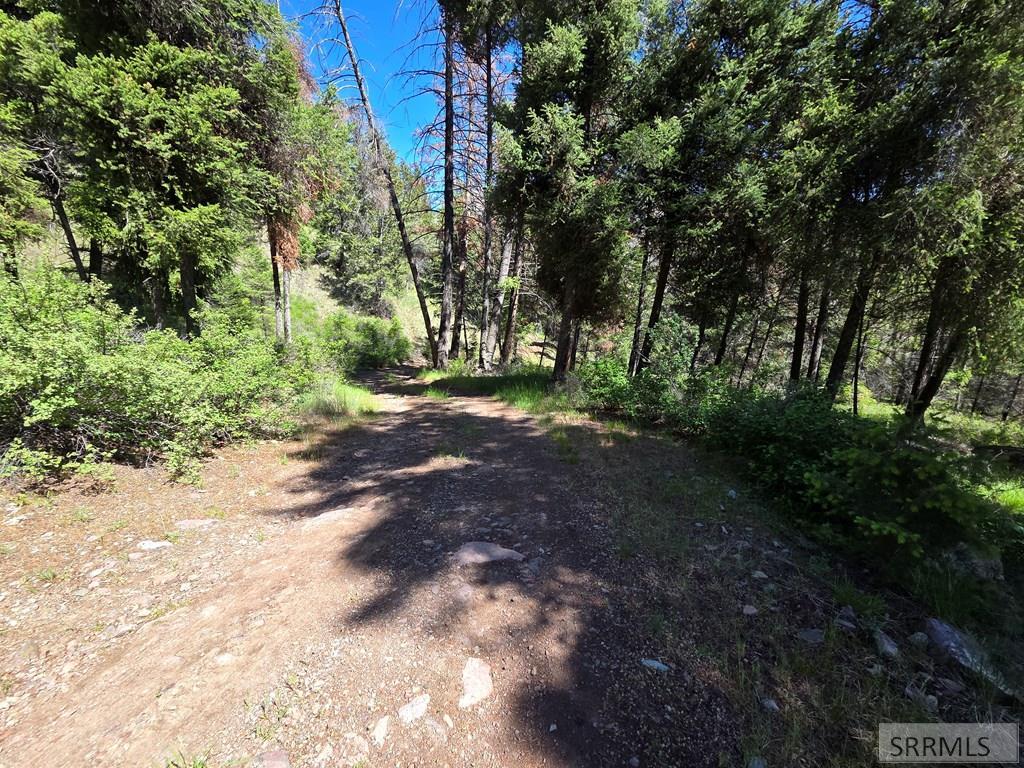 21 Pinetree Drive Property Photo 45