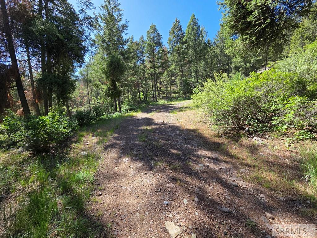 21 Pinetree Drive Property Photo 46