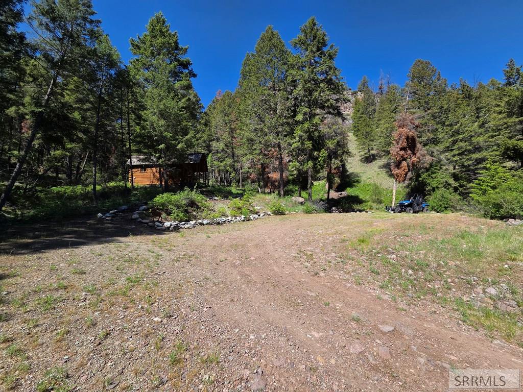 21 Pinetree Drive Property Photo 48