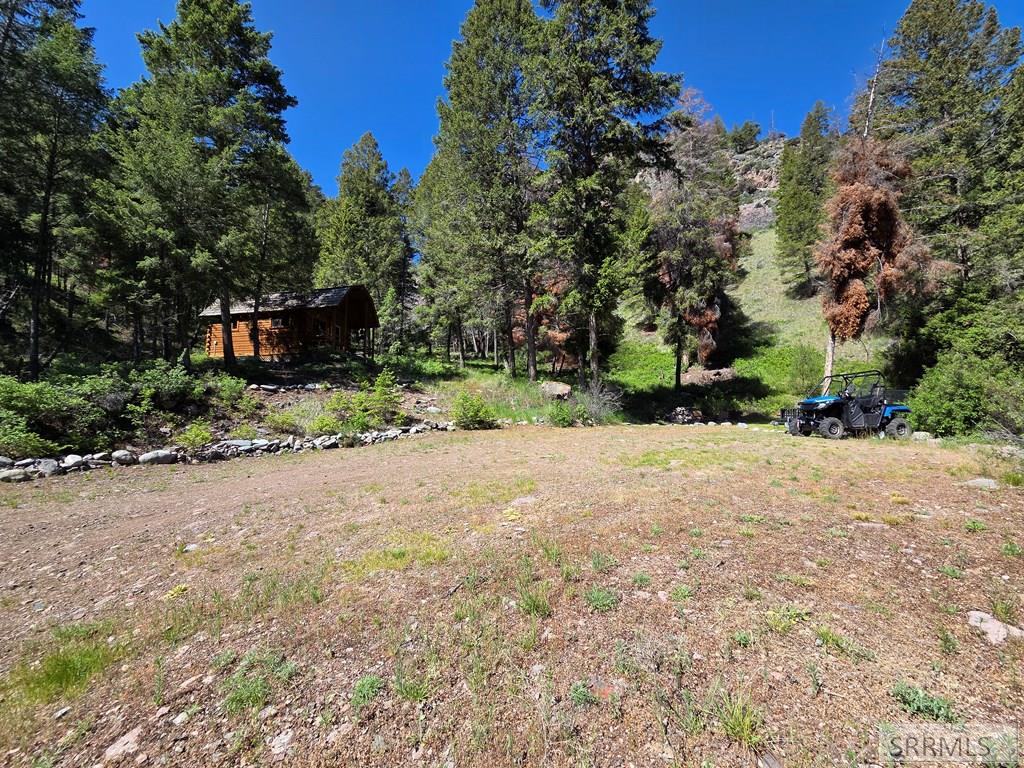 21 Pinetree Drive Property Photo 49