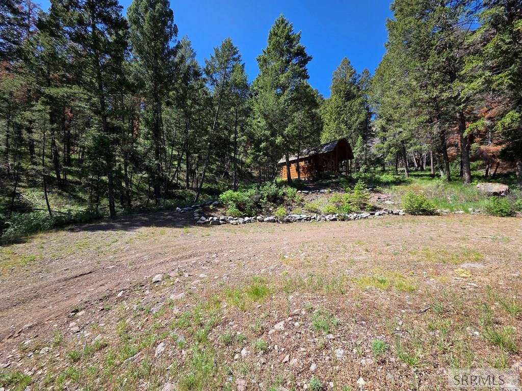 21 Pinetree Drive Property Photo 50