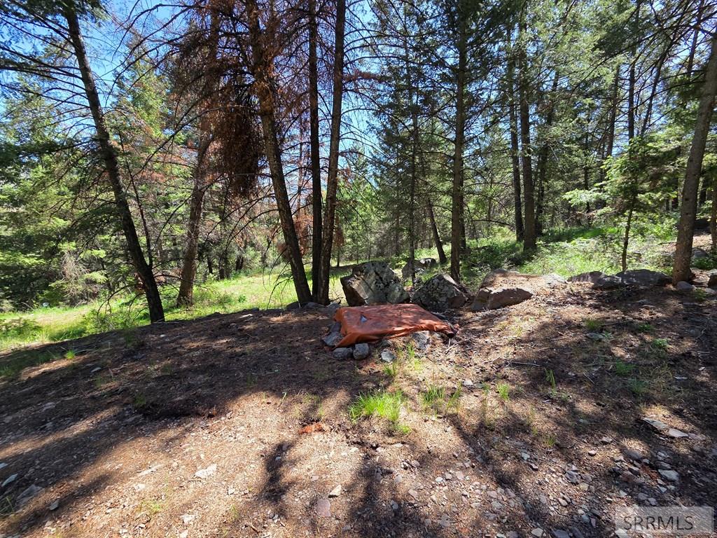21 Pinetree Drive Property Photo 51