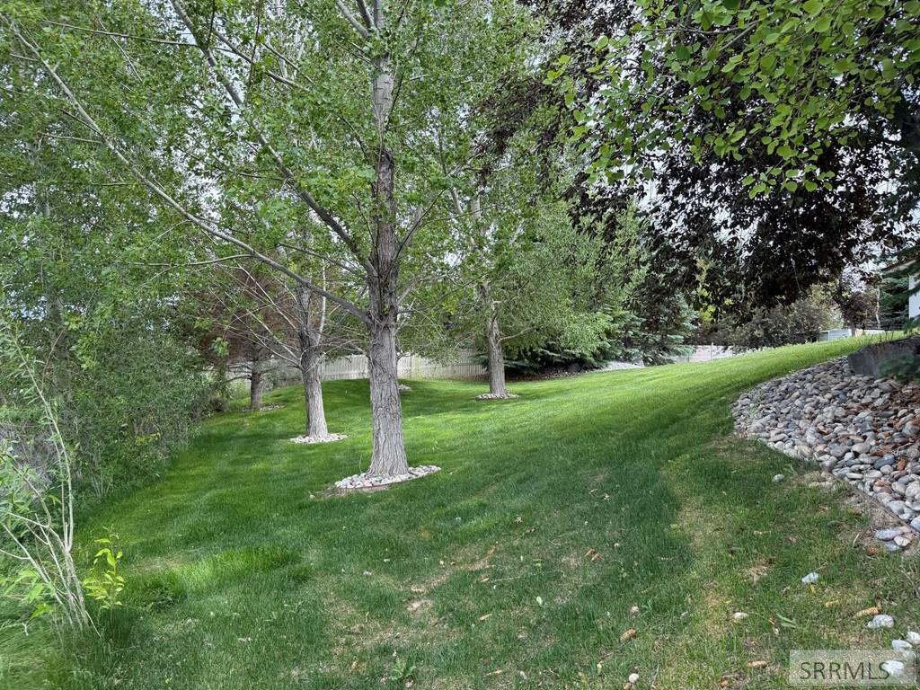 7955 S Black Hawk Drive Property Photo 96