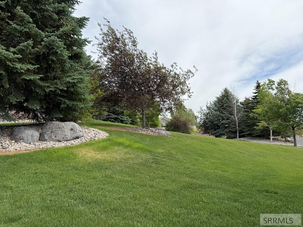 7955 S Black Hawk Drive Property Photo 100