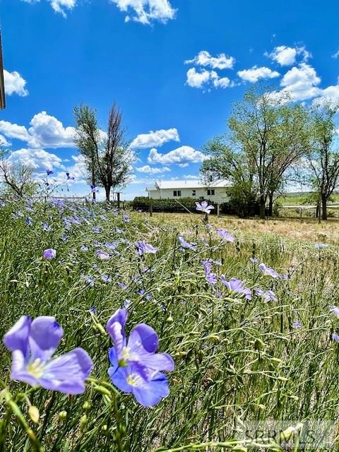 2628 Highway 93 Property Photo 22