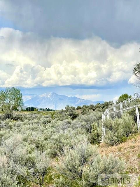 2628 Highway 93 Property Photo 41