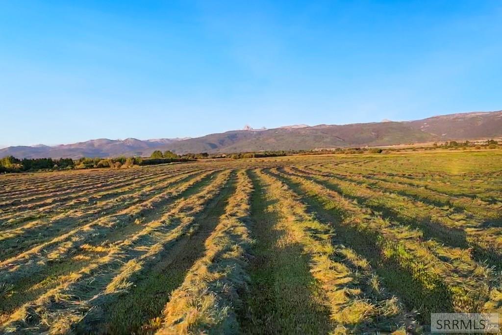 Tbd S Bates Road Property Photo 4