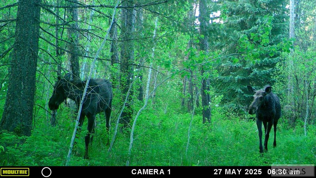 1597 Annies Landing Property Photo 3