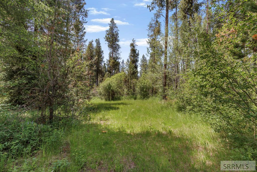 1597 Annies Landing Property Photo 4