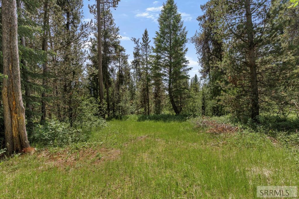 1597 Annies Landing Property Photo 5