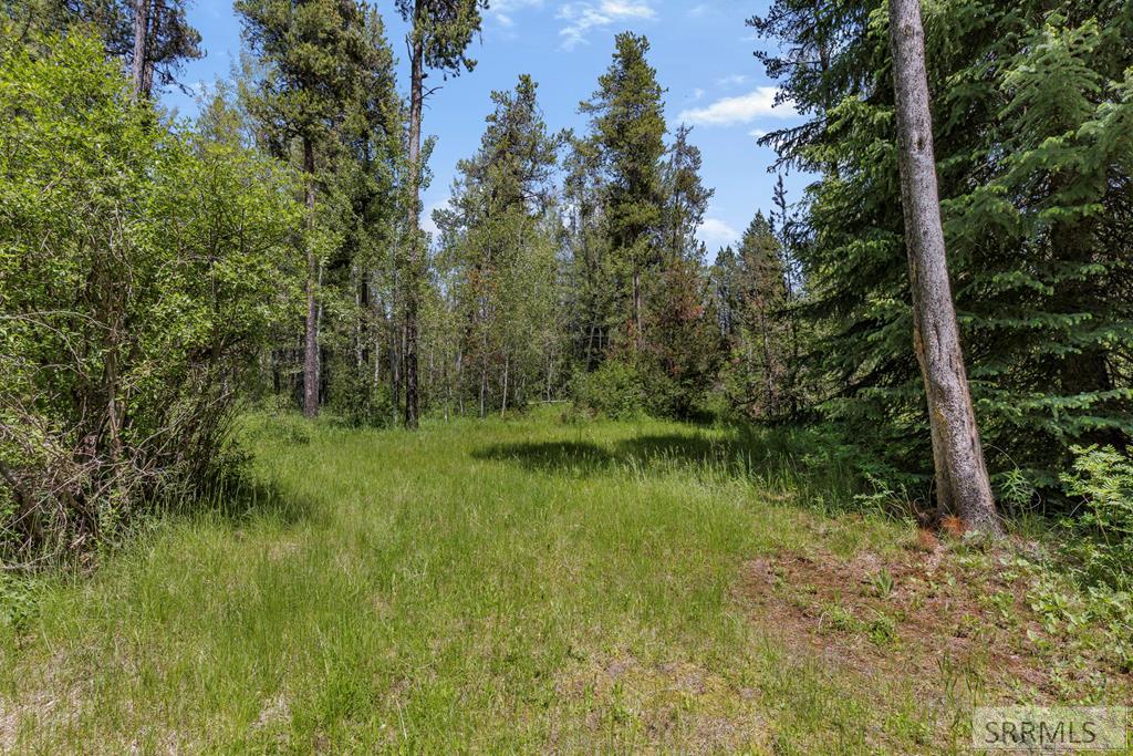 1597 Annies Landing Property Photo 6