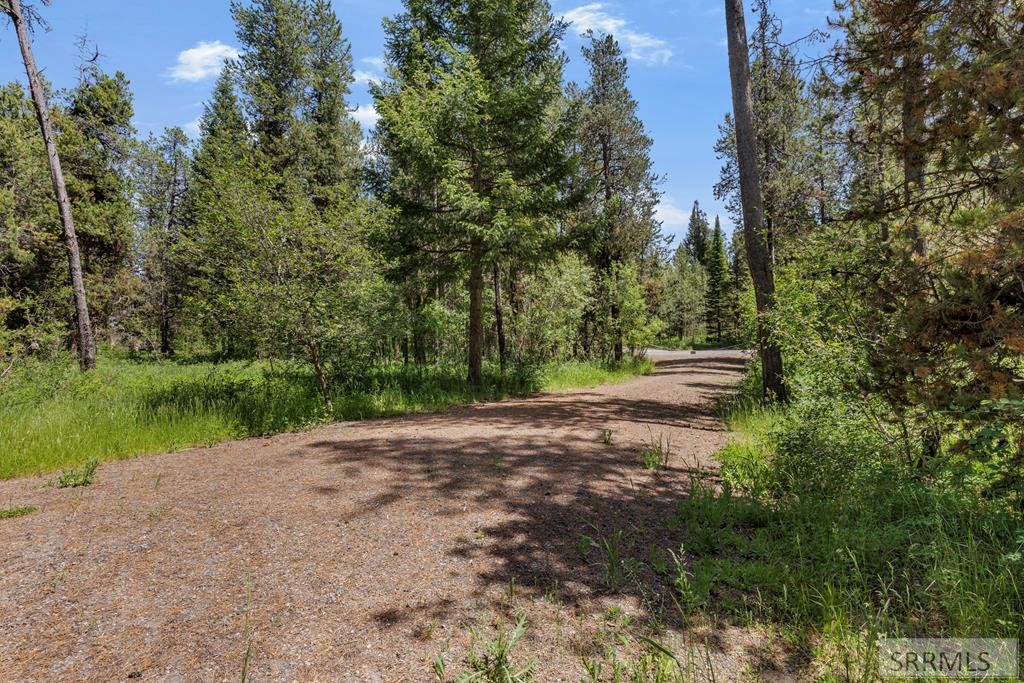 1597 Annies Landing Property Photo 9