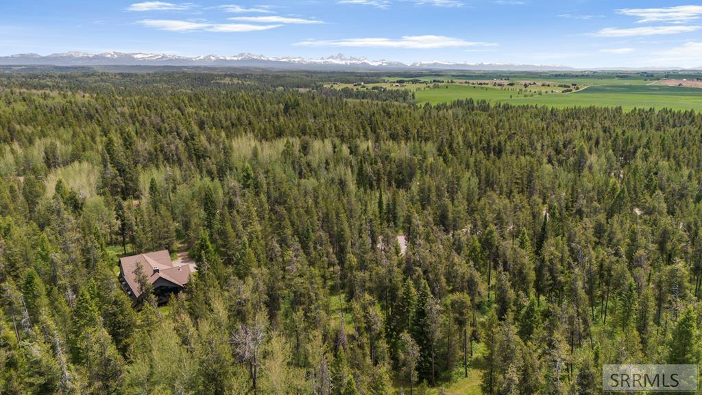1597 Annies Landing Property Photo 11