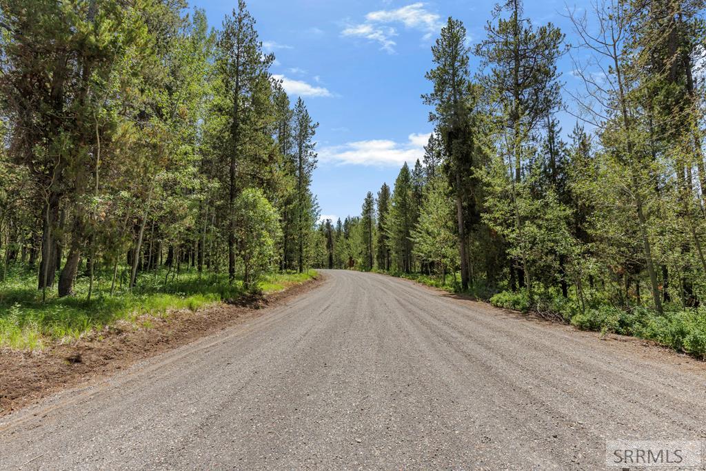 1597 Annies Landing Property Photo 39