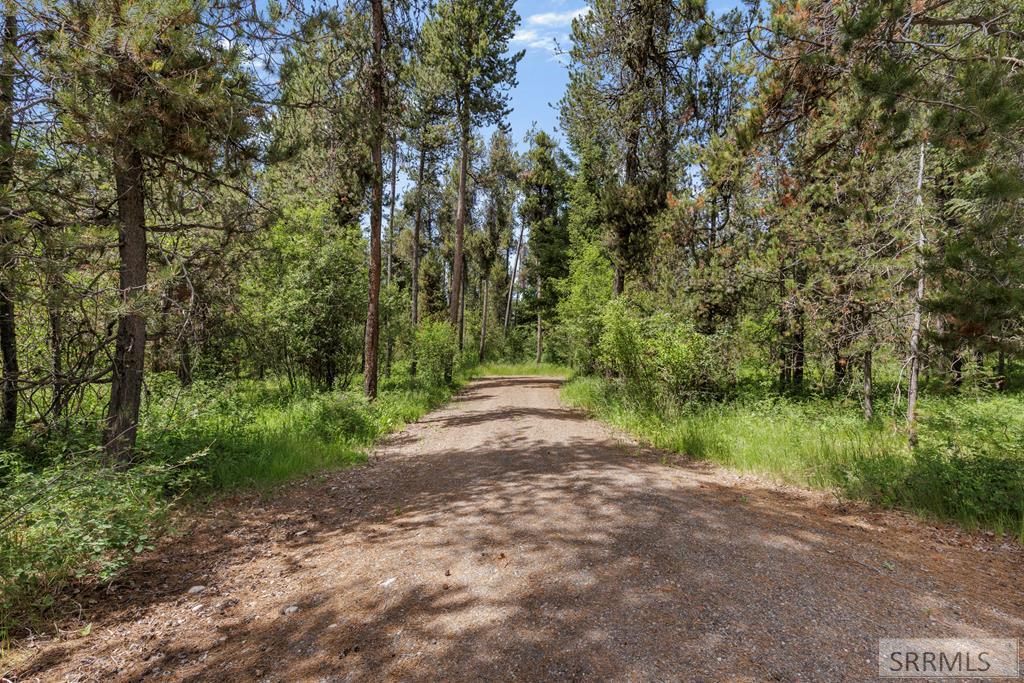 1597 Annies Landing Property Photo 41