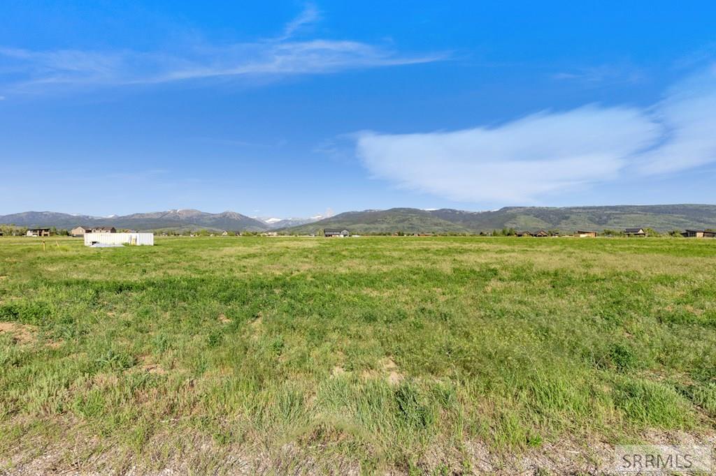 1753 Foxtail Drive Property Photo 8