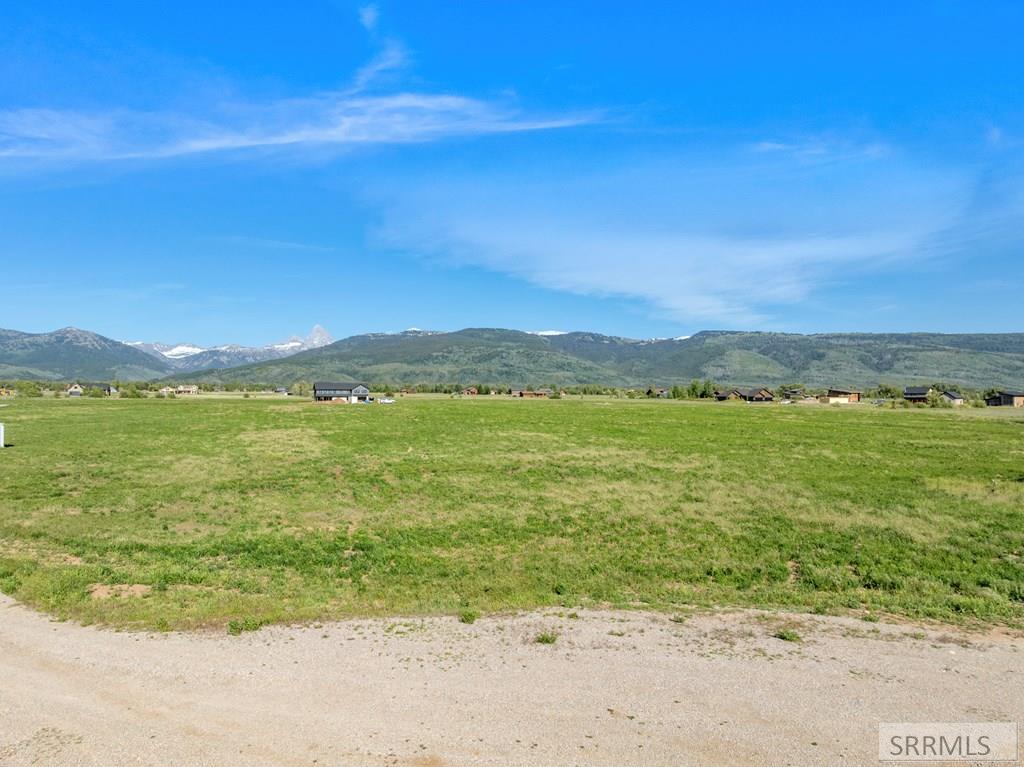 1753 Foxtail Drive Property Photo 21
