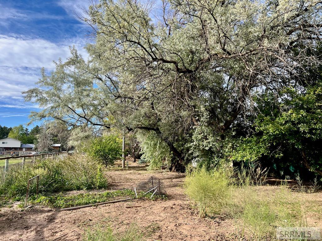 3785 E Wanda Street Property Photo 21