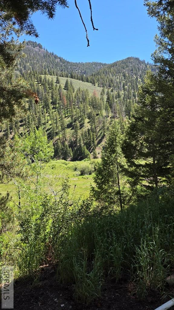 2209 Panther Creek Road Property Photo 28