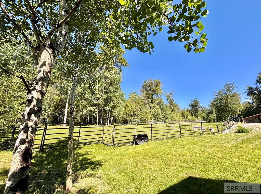 12 Ethels Way Property Photo 58