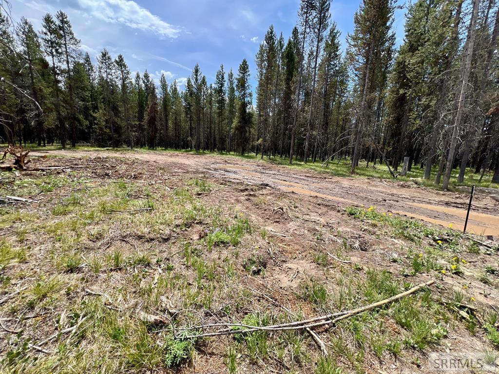 4360 Sasquatch Ave Property Photo