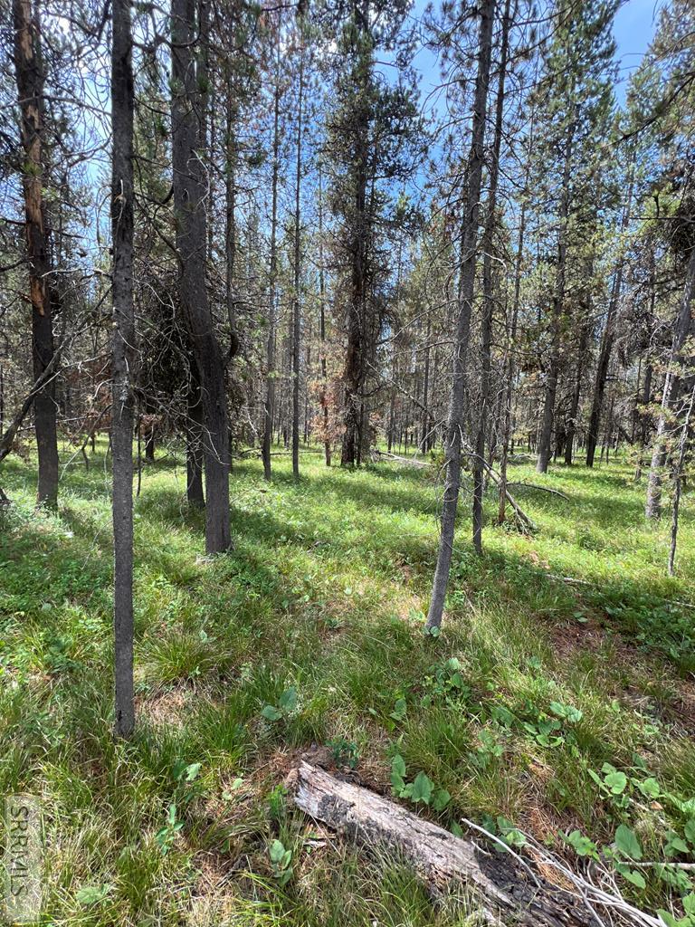 4360 Sasquatch Ave Property Photo 3