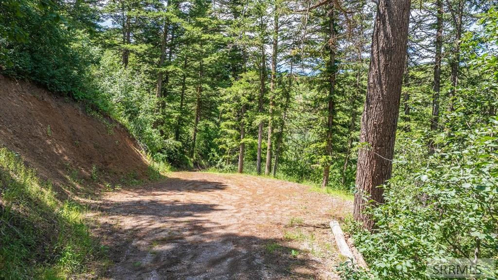 8832 N Whispering Pines Road Property Photo 42