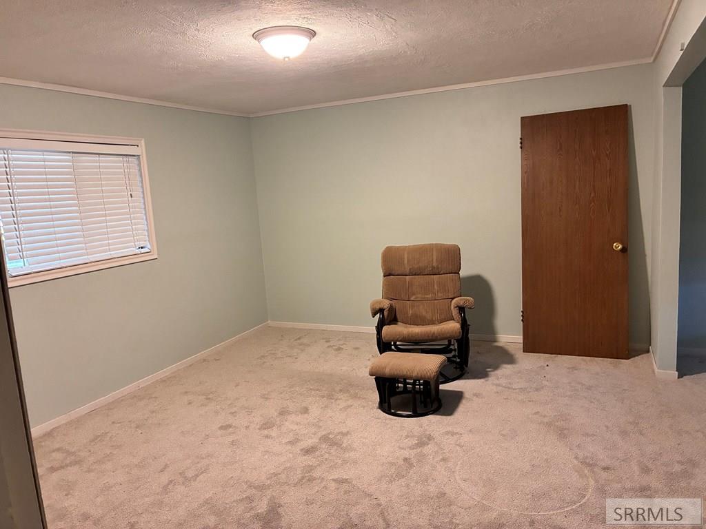 981 Bluebird Lane Property Photo 18
