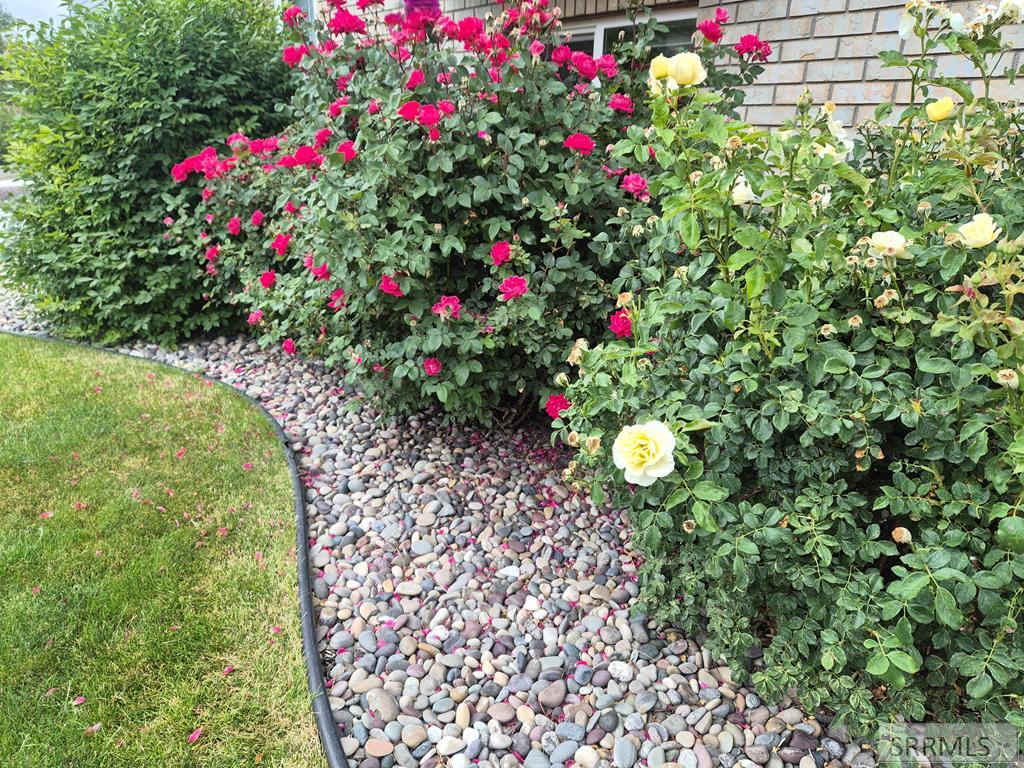 1036 Camas Lane Property Photo 7