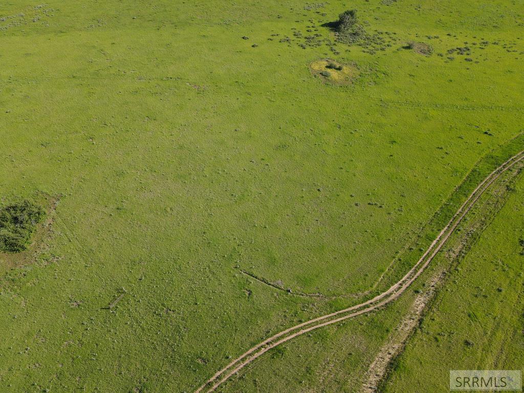 1550 E Rim Loop Road Property Photo 3
