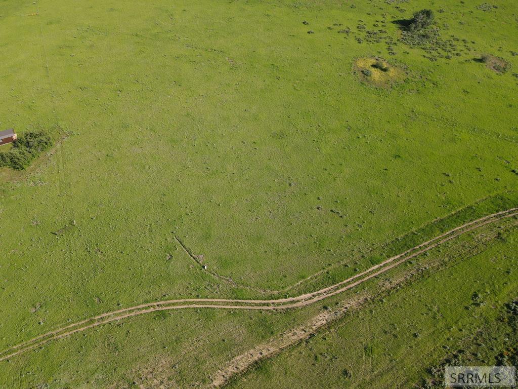 1550 E Rim Loop Road Property Photo 4