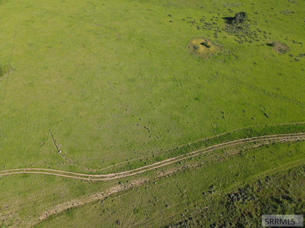 1550 E Rim Loop Road Property Photo 5