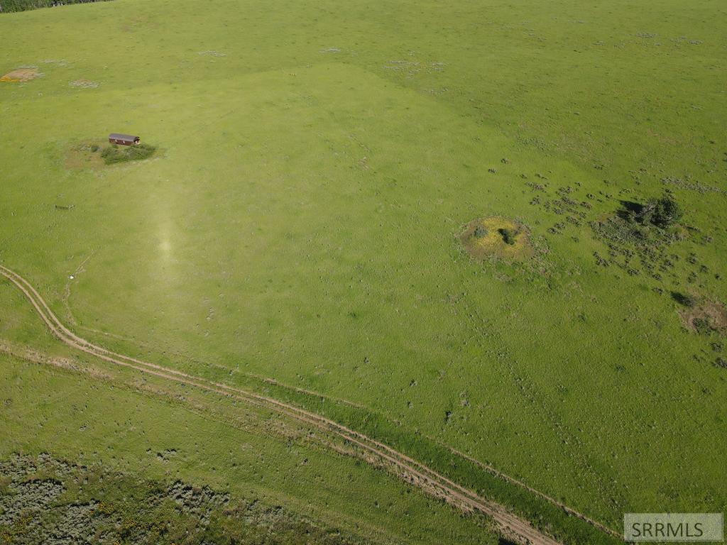 1550 E Rim Loop Road Property Photo 6