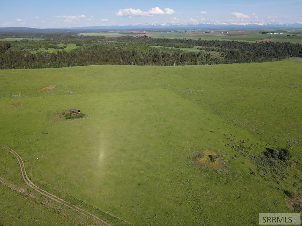 1550 E Rim Loop Road Property Photo 7