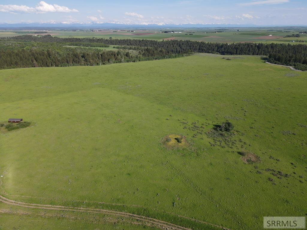 1550 E Rim Loop Road Property Photo 21