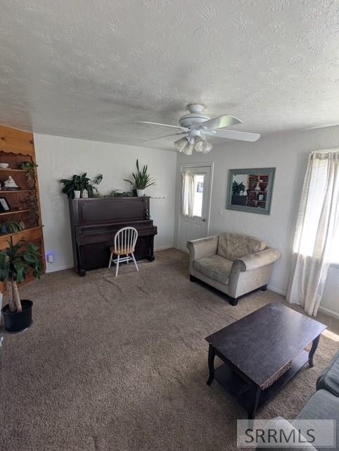 1095 Cassia Property Photo 4