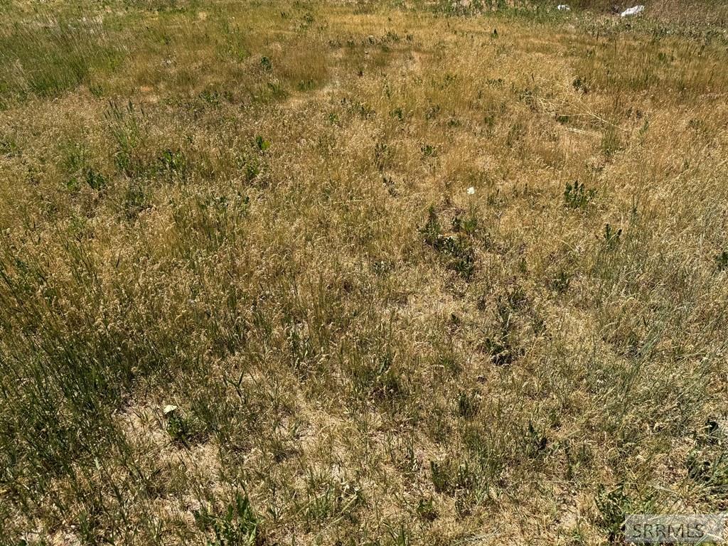 Tbd Kingdom Hall Rd Property Photo 16