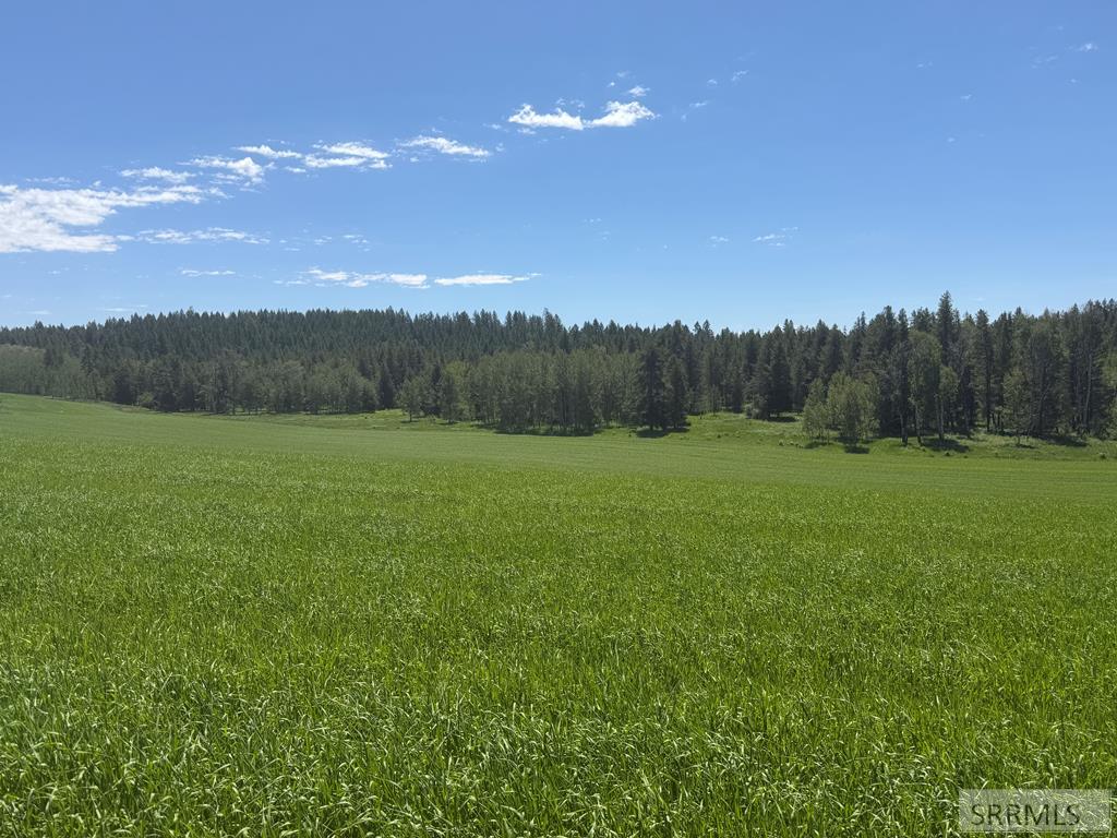 4935 E 900 N Property Photo 57