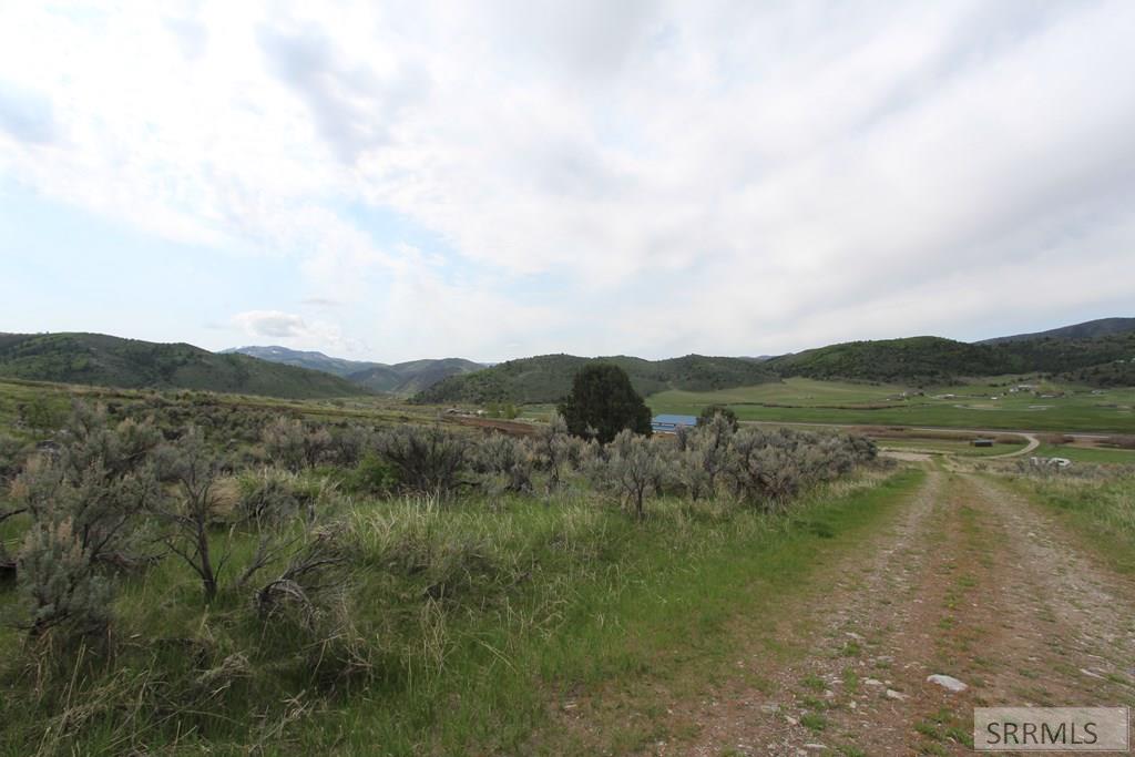10897 Quail Way Property Photo 55