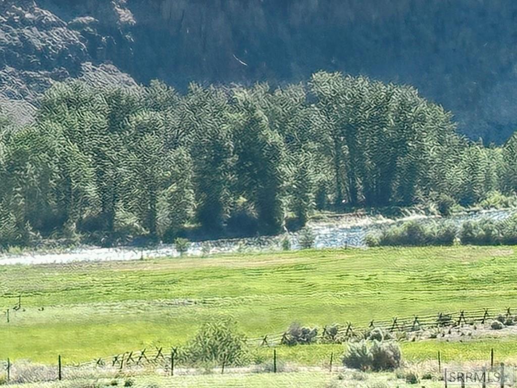 #5 Homestead Trail Property Photo 6