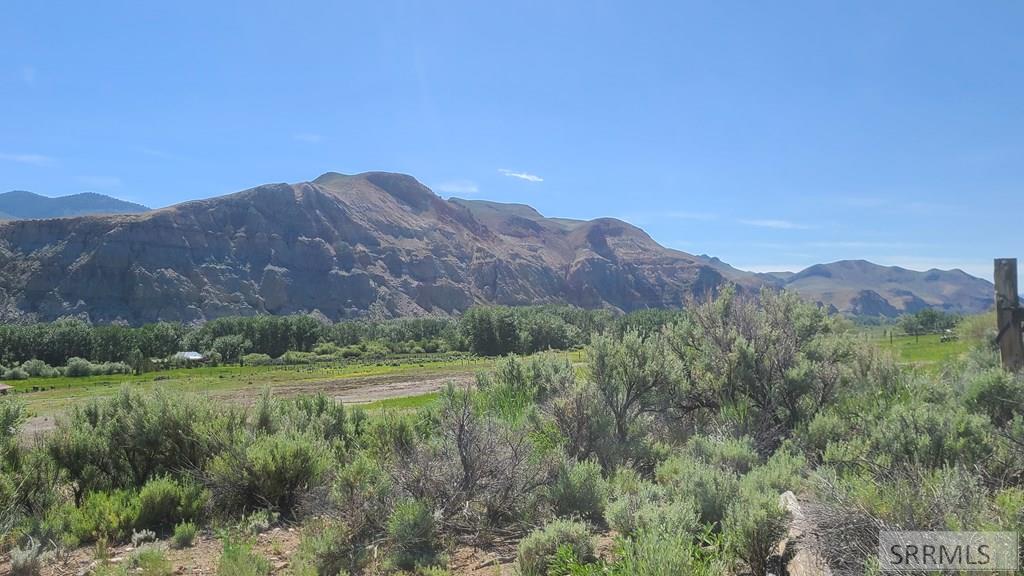 #5 Homestead Trail Property Photo 20