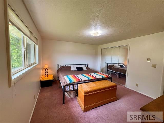 3197 Eagle Rock Road Property Photo 22