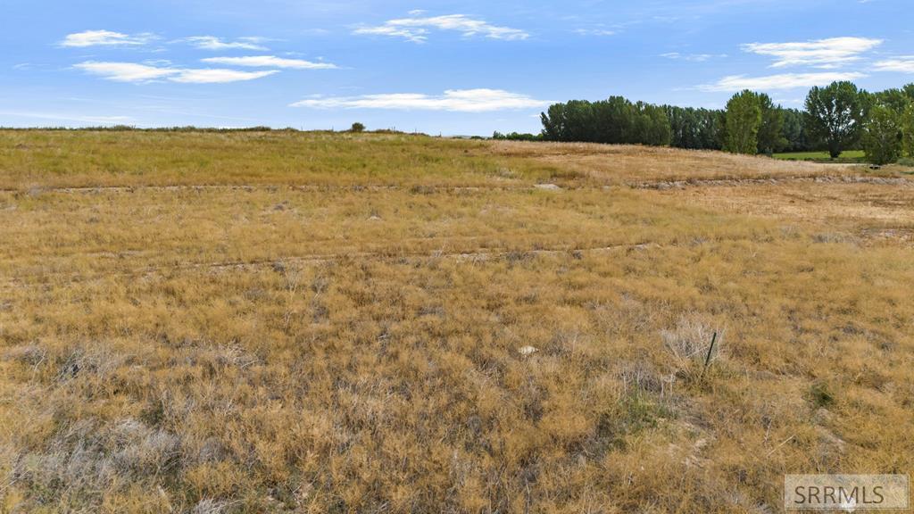 5601 Malheur River St Property Photo 12