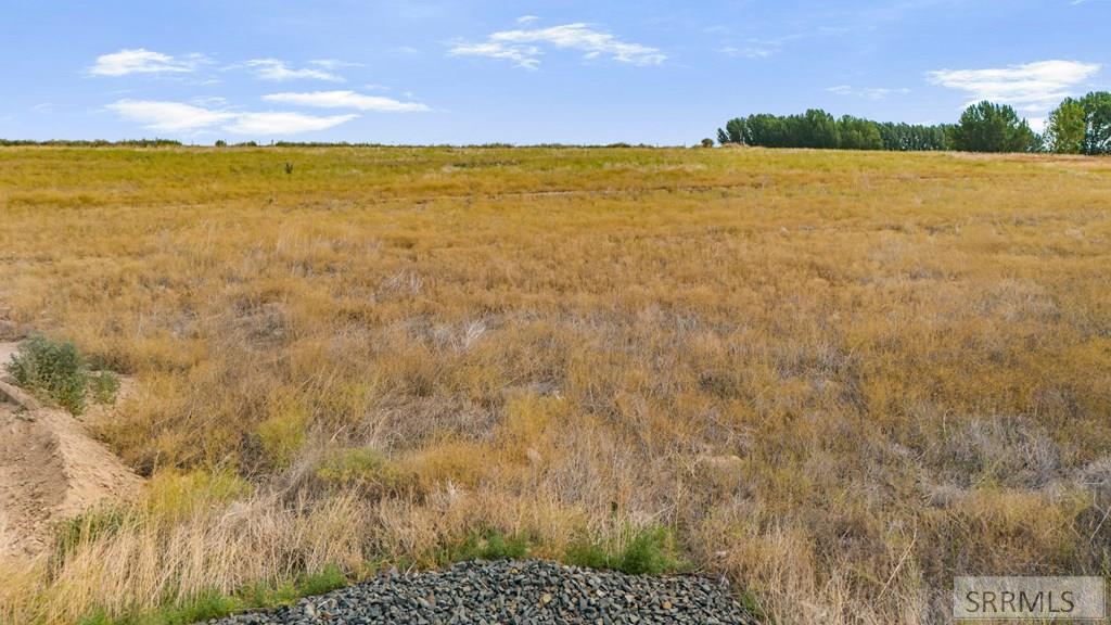 5581 Malheur River St Property Photo 11