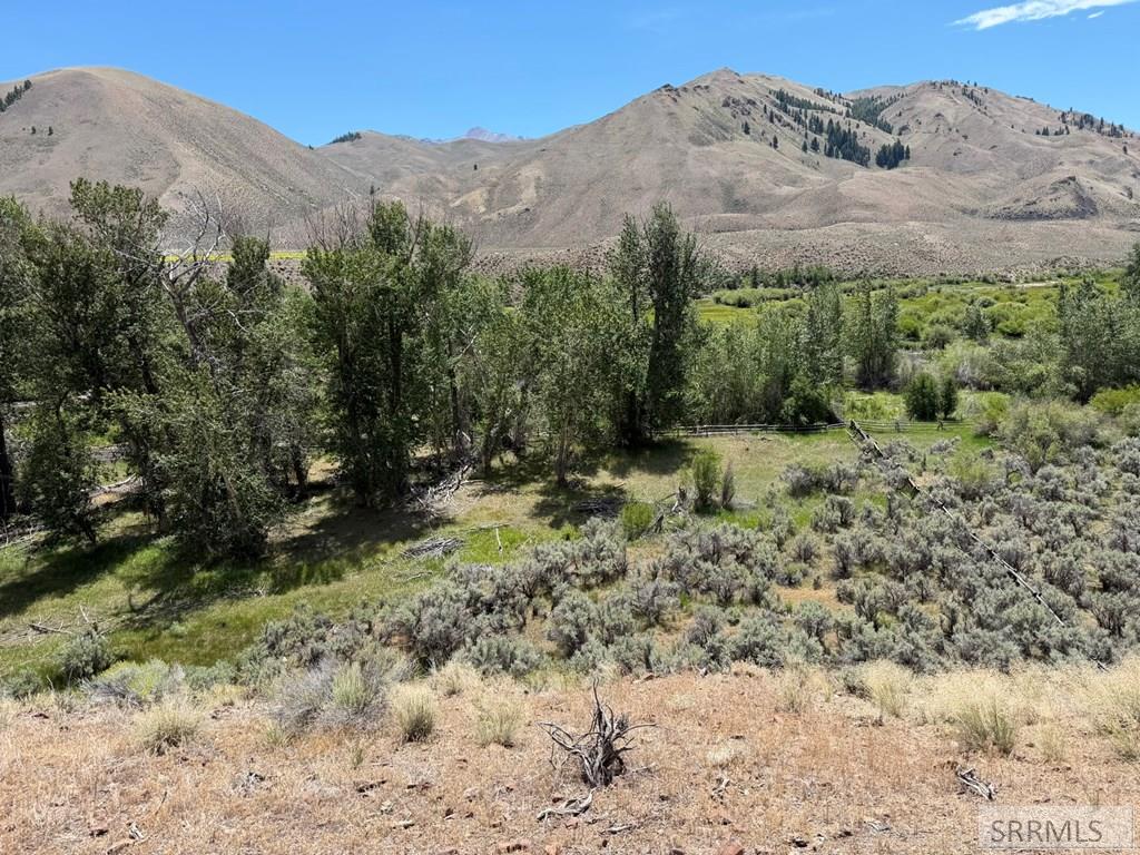 Tbd East Fork Road Property Photo 15