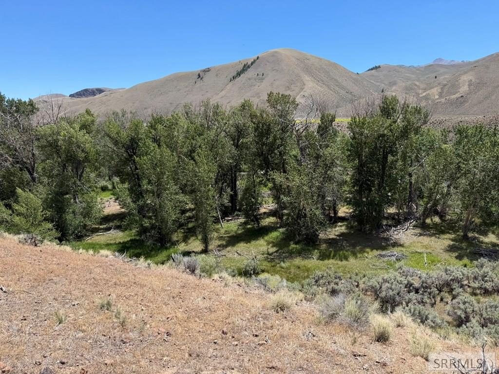 Tbd East Fork Road Property Photo 16