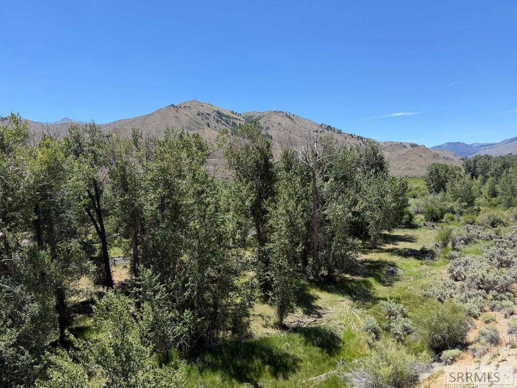 Tbd East Fork Road Property Photo 17