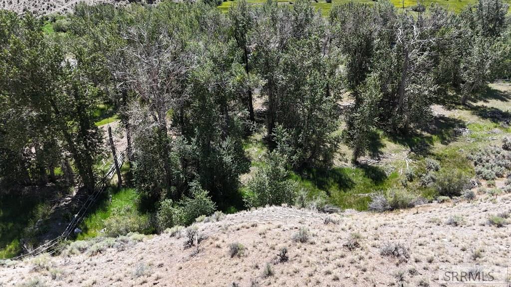 Tbd East Fork Road Property Photo 19