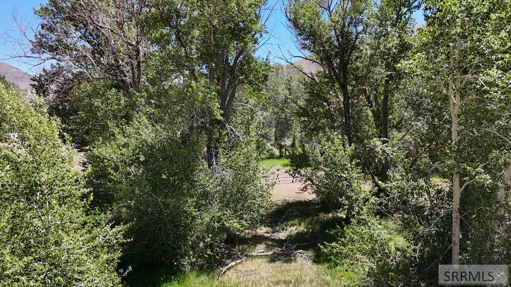 Tbd East Fork Road Property Photo 20